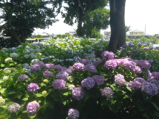 �܂�ŕʐ��E_���y��