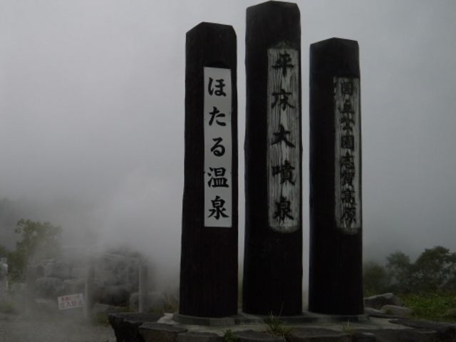 �����啬��_�F�̓��ق��鉷��