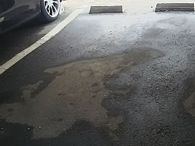 D炯̒ԏ
seBȂ̂_CzXgrcV_X