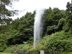 �ɂ��ǂ񂳂�̕��_�t�ւ̓��e�ʐ^1