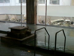 �ɂ��ǂ񂳂�̖q�ό��z�e���ւ̓��e�ʐ^1