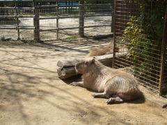 ��������񂳂�̑������ւ̓��e�ʐ^1