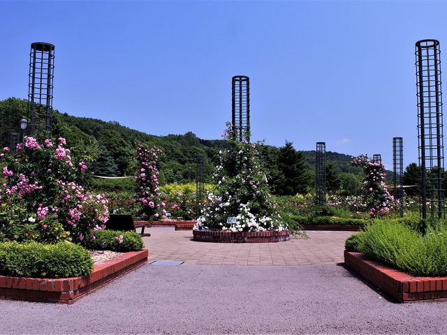 �Y��ɐ�������Ă܂���_����݂�������o����