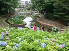 Xkv̖{̉Ԃ傤Ԃւ̓eʐ^1