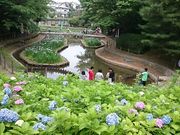 Xkv̖{̉Ԃ傤Ԃ̓eʐ^1