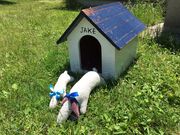 poporon̗t˖ hG{p JtFeA̓eʐ^2