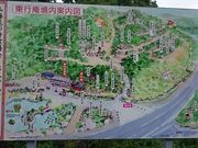 ���񂿂�񂳂�̍����W���̓��e�ʐ^1