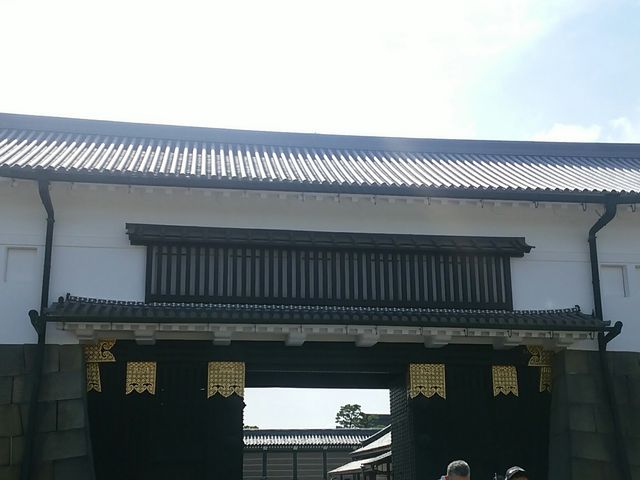 ���h�Ȗ�_����铌����