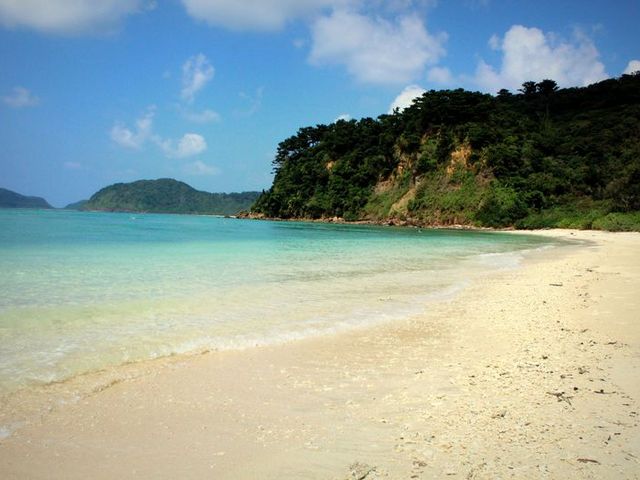 �L���C�ł�_�C�_�̕l