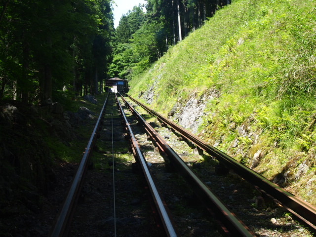 �s���݂̂̃g���b�R�B
_���ߓ���