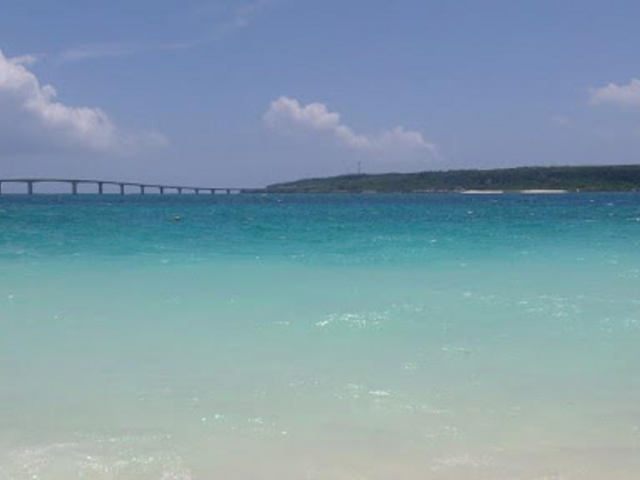 ���i����̂ӂꂠ���̑O�l�C�l�L��̓��e�ʐ^1