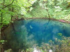 pon񂳂̐rւ̓eʐ^1