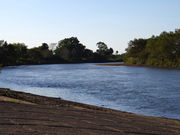 ݁B̏L샊o[TChp[N̓eʐ^1