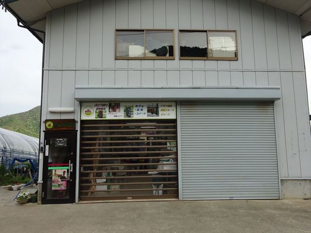 ���X_���R�ʎ���&�J�t�F