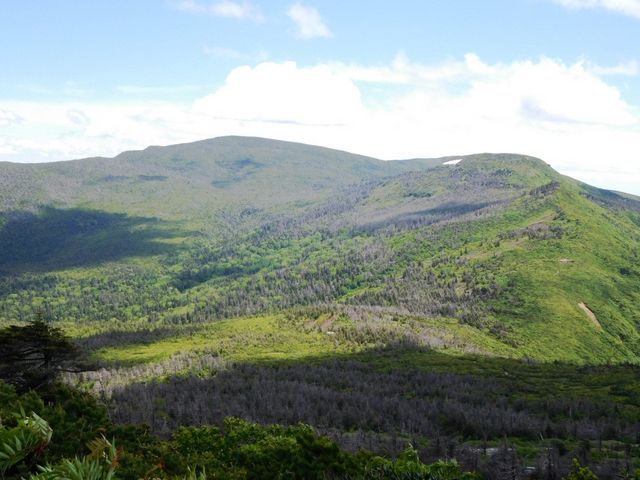 ���c�����琙����A�����x��]�ށB_�����x