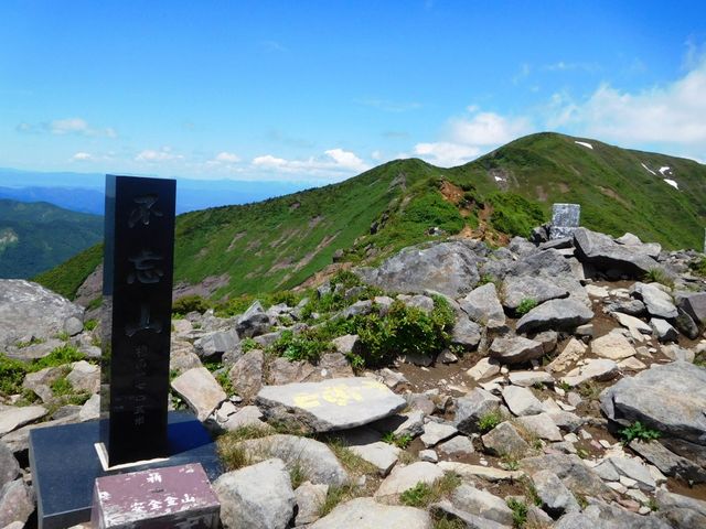 �s�Y�R�R���I�o�b�N�ɓ웠���x�B_�s�Y�R