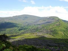 ������̛����x�ւ̓��e�ʐ^1