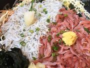 ̂炷≮EƂтE{X̓eʐ^1