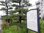 hakoneatami̕ۓyJꗢːՂ̓eʐ^1