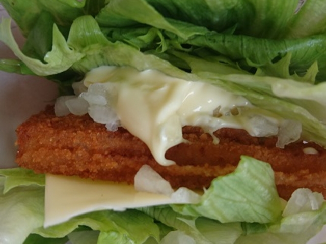 ȁ[̃Xo[K[ lsKX̓eʐ^1