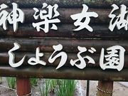 񂿂񂳂̐_y΂̓eʐ^1