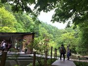 ݂̃sbLI쒹̐XrW^[Z^[̓eʐ^1