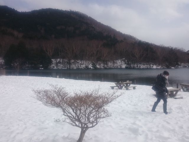 ���m��_���m��