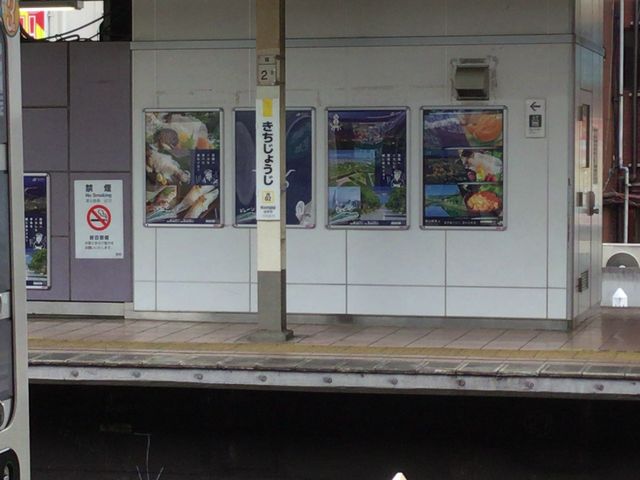 �l�C�̊X_�i�q�g�ˎ��w