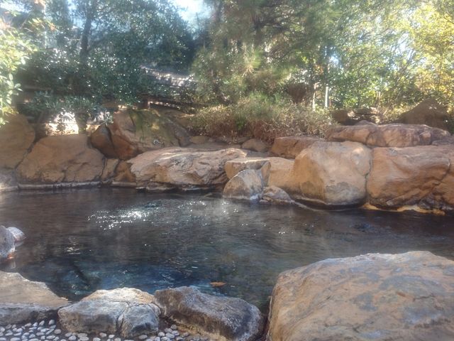 �I�V���C_�M���̓��@��������