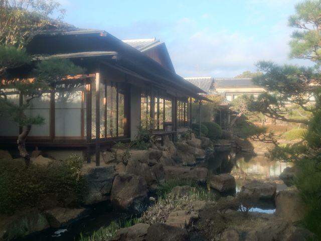 ����̊O��_�M���̓��@��������