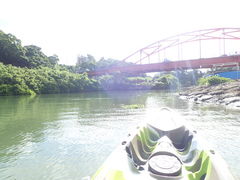 �}�C�a�n�n����̃J���b�N �C�[�Y�ւ̓��e�ʐ^1