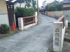 まるーんさんの歴史の道（京都府向日市）の投稿写真1