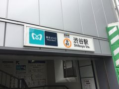 SAKURA̓g aJwւ̓eʐ^1