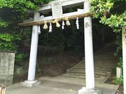 �܂�[�񂳂�̑��c�_�Ђ̓��e�ʐ^1