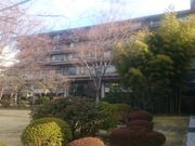 ꂨ񂳂̐M̓@̓eʐ^9