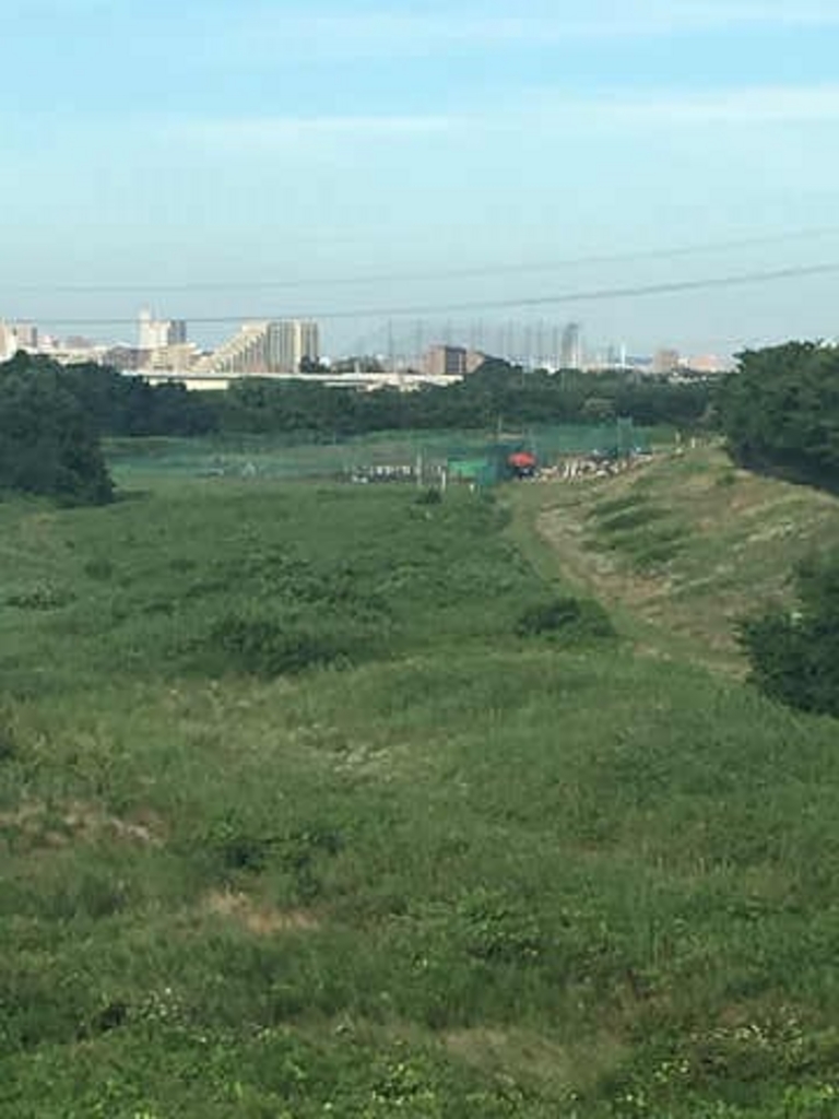 稲城北緑地公園 アクセス 営業時間 料金情報 じゃらんnet