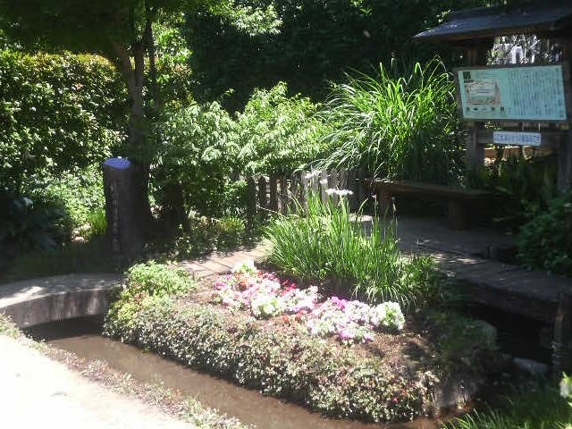 Ƃ񂳂̗NƗj̗@鎭Eh̓eʐ^3