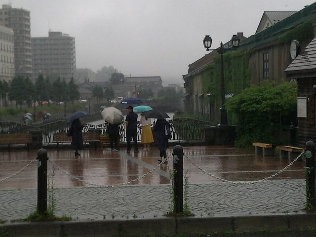 ���݊�����q�ɁB�B_�^�͂ƐΑ��q�ɌQ