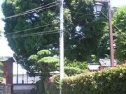 Ƃ񂳂̗NƗj̗@鎭Eh̓eʐ^4