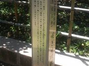 Ƃ񂳂̐J̒ւ̓eʐ^2