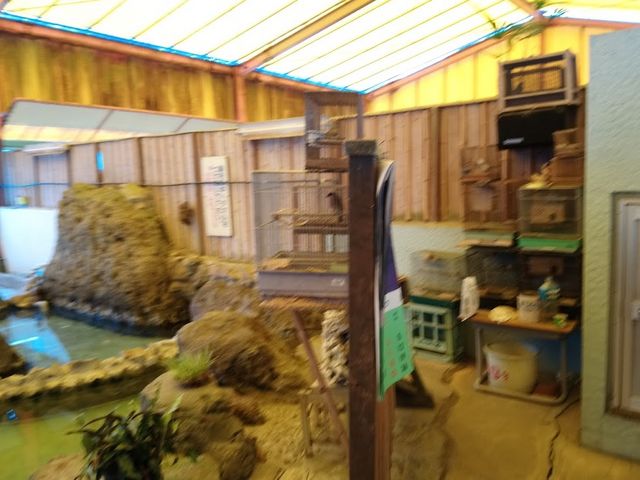 ��������̒������Ə�������_�ԏ�����