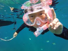 񂯂񂳂̃_CubNւ̓eʐ^2