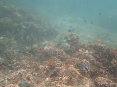 肳̐̓A@Dive@ւ̓eʐ^1