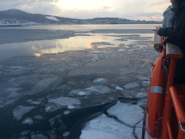 ���X���ۂ��X_���X�ӕX�D �K�����R���U