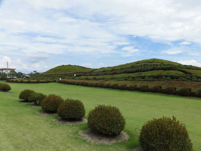 dai-neko����̒ˎR�Õ��̃c�c�W�̓��e�ʐ^1