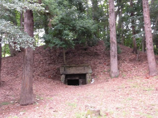 dai-neko̎ԒˌÕ̓eʐ^1