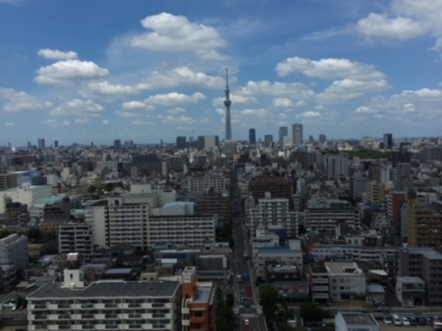 artneko̓{E񂩂̓eʐ^2