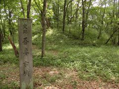 dai-nekǒȌÕւ̓eʐ^1