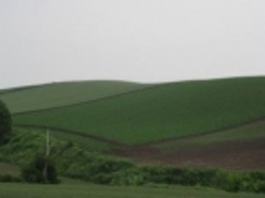 ���߂̂₳��̃p�b�`���[�N�̘H�ւ̓��e�ʐ^1