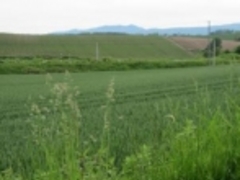 ߂̂₳̃pm}[hւ̓eʐ^1